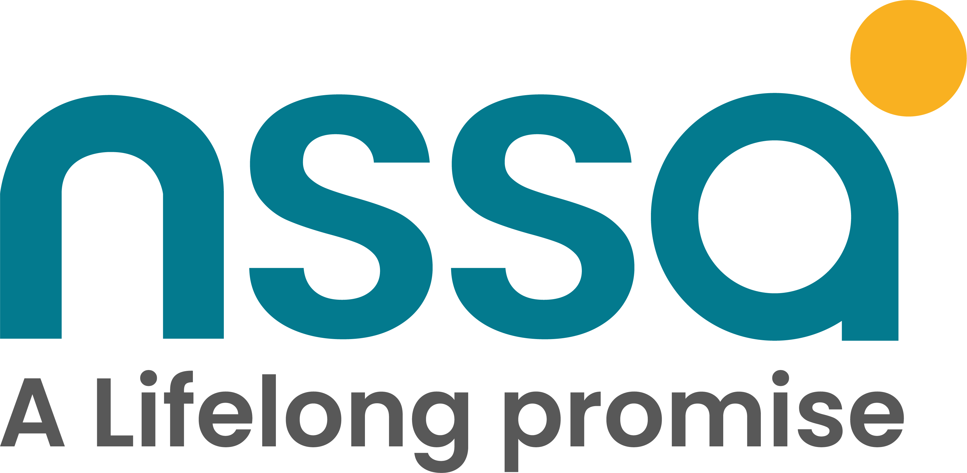 NSSA